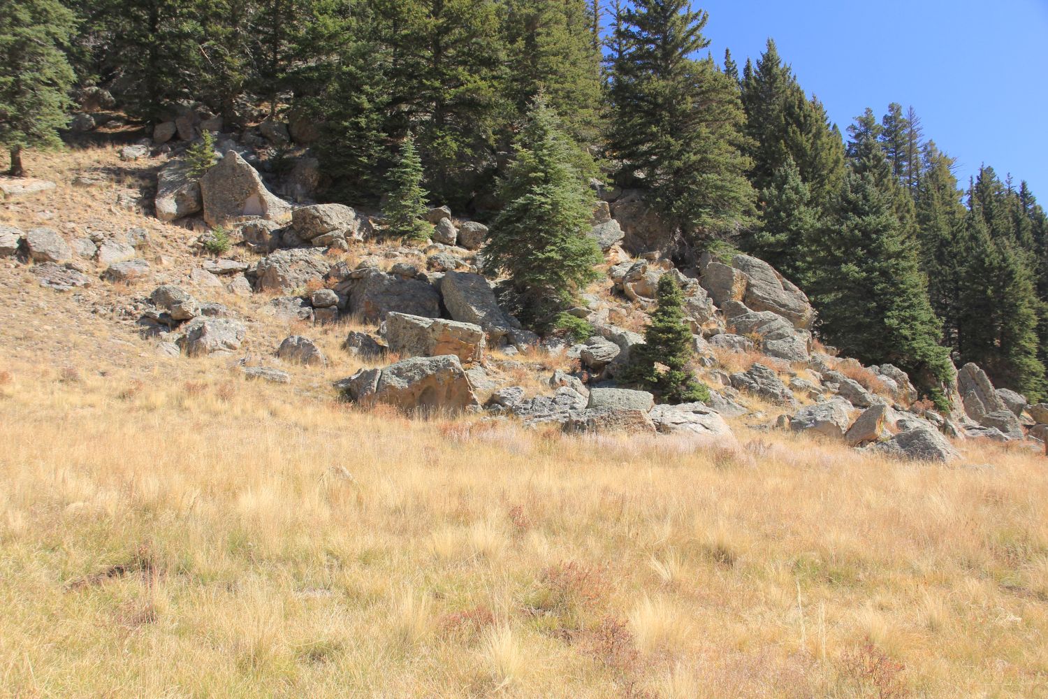 Valles Caldera National Preserve 